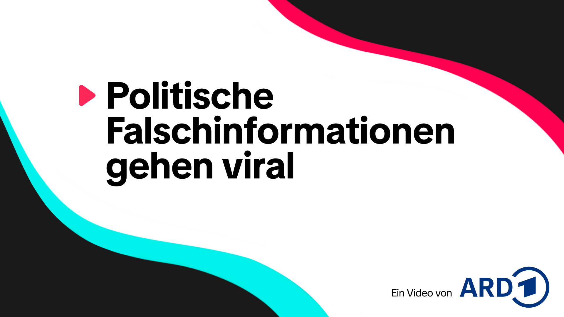 TikTok-Videos: Politische Falschinformationen gehen viral | Kontraste