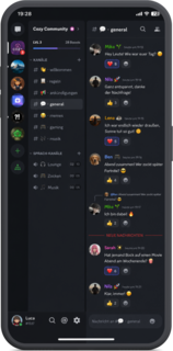 Discord-Bildschirm